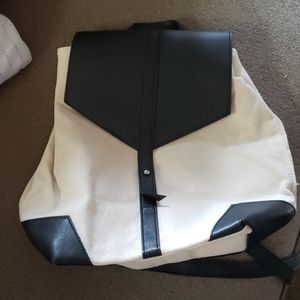 Back pack purse
